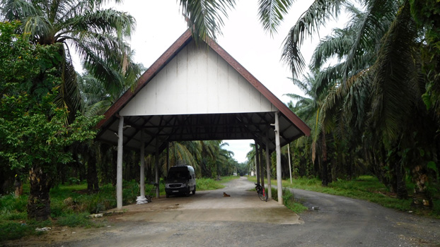 Toller Nachtplatz, N5.924063° E117.814306°.