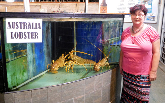 Vitrine mit frischen Speisen im Fischlokal in KL.