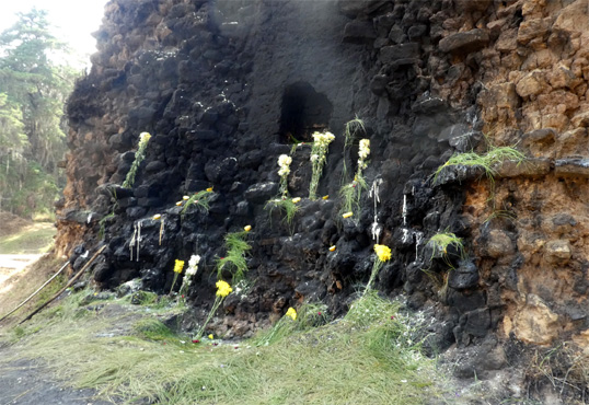 Blumen und Obst werden geopfert