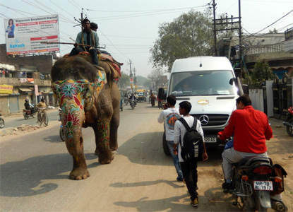 Elefant im Sto�verkehr.