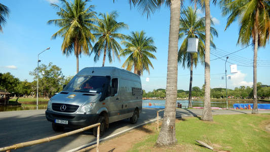 Palmen in Thailand.