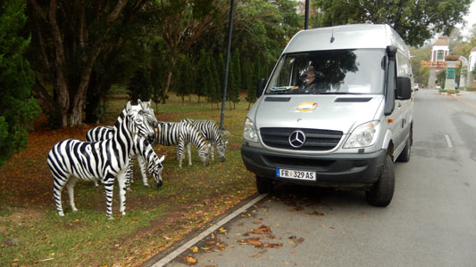 Chiang Mai Night Safari.